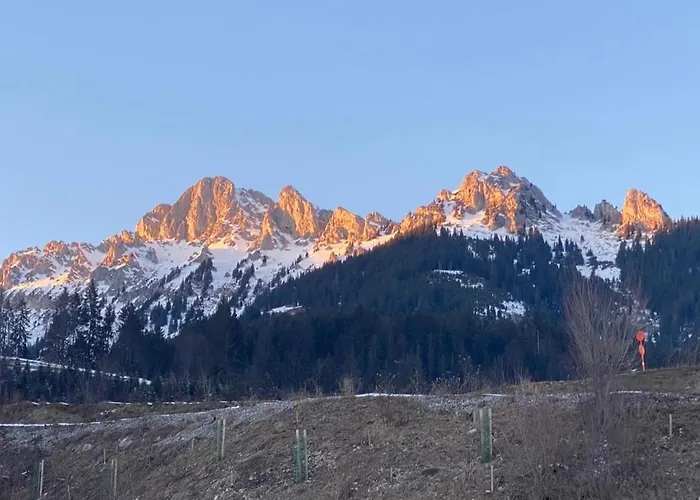 Mountainview - Stadtnahe 2 Zi Whg Appartement *